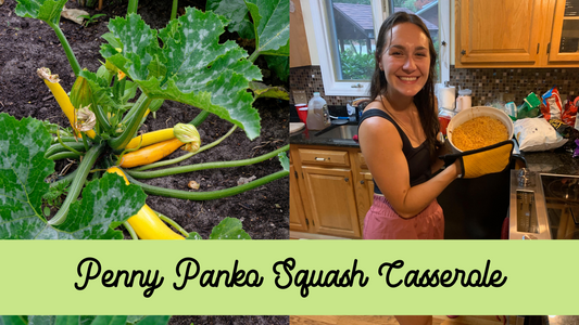 Special squash casserole recipe comes from beautiful homegrown garden squash baked into a delicious savory casserole topped with Piedmont Penny Panko cheese crumbs