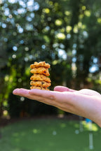Flavor Gift Bundle | Gourmet Southern Cheese Straws